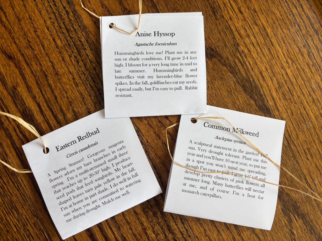 Three plant identification cards on a wooden table, describing Anise Hyssop, Eastern Redbud, and Common Milkweed with information about their growth and suitability for attracting pollinators.